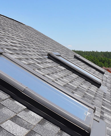 Roof With Skylights